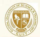 University of Science, Arts & Technology